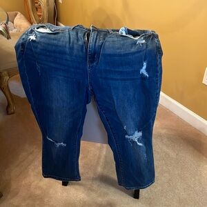 Women’s Judy Blue Jeans, Size 18W